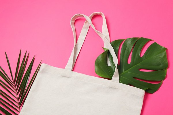 Comment voyager avec un impact minimal sur l'environnement ?